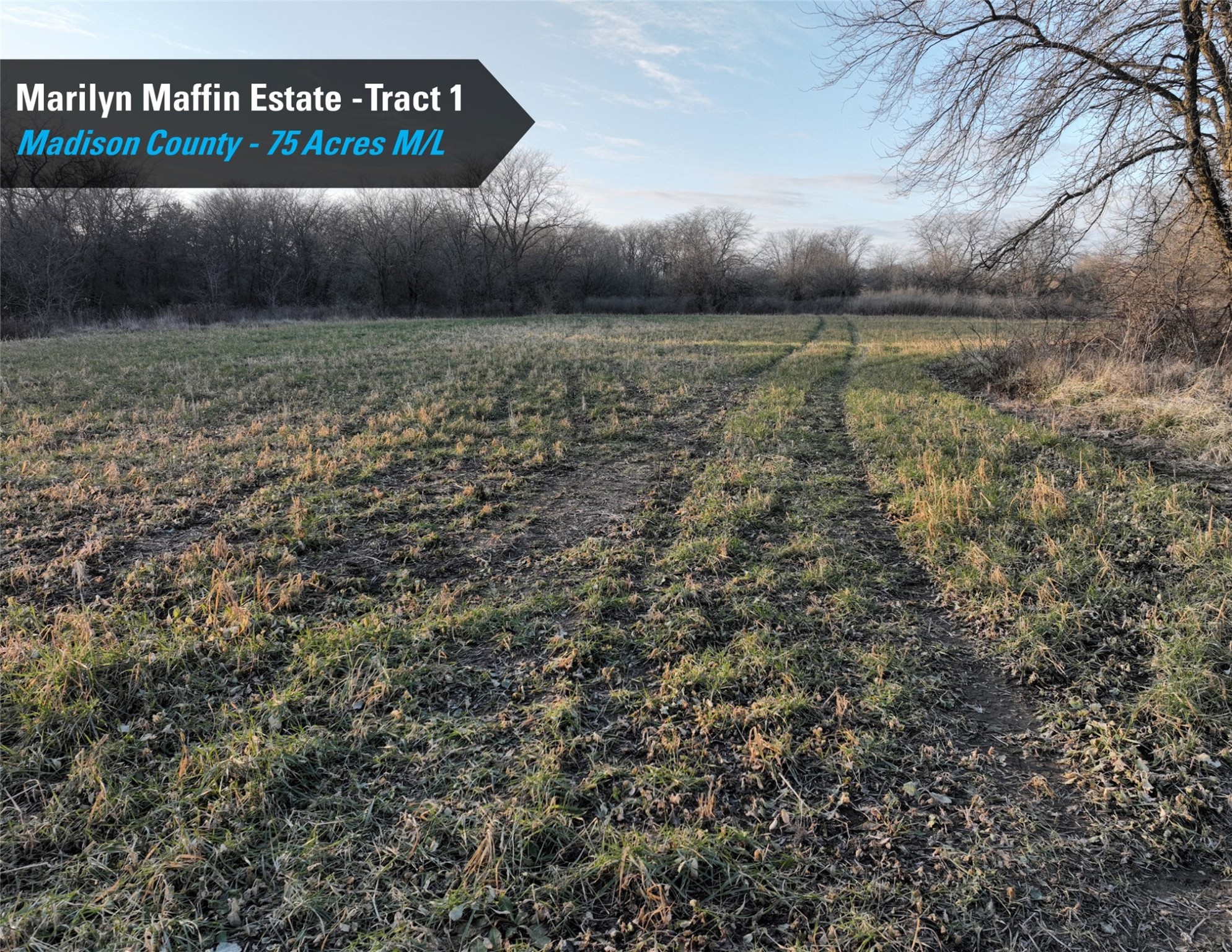 1248 Fawn Avenue, Earlham, Iowa image 8