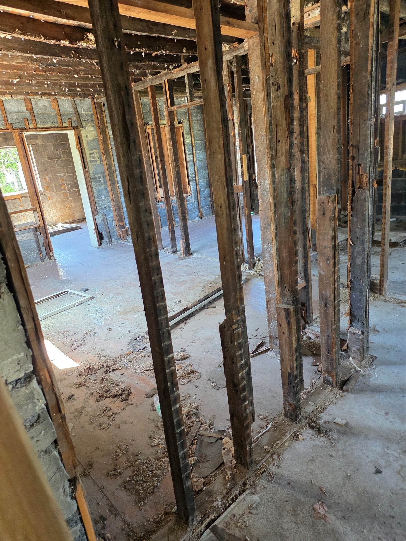 2312 Forest Avenue - Photo 3