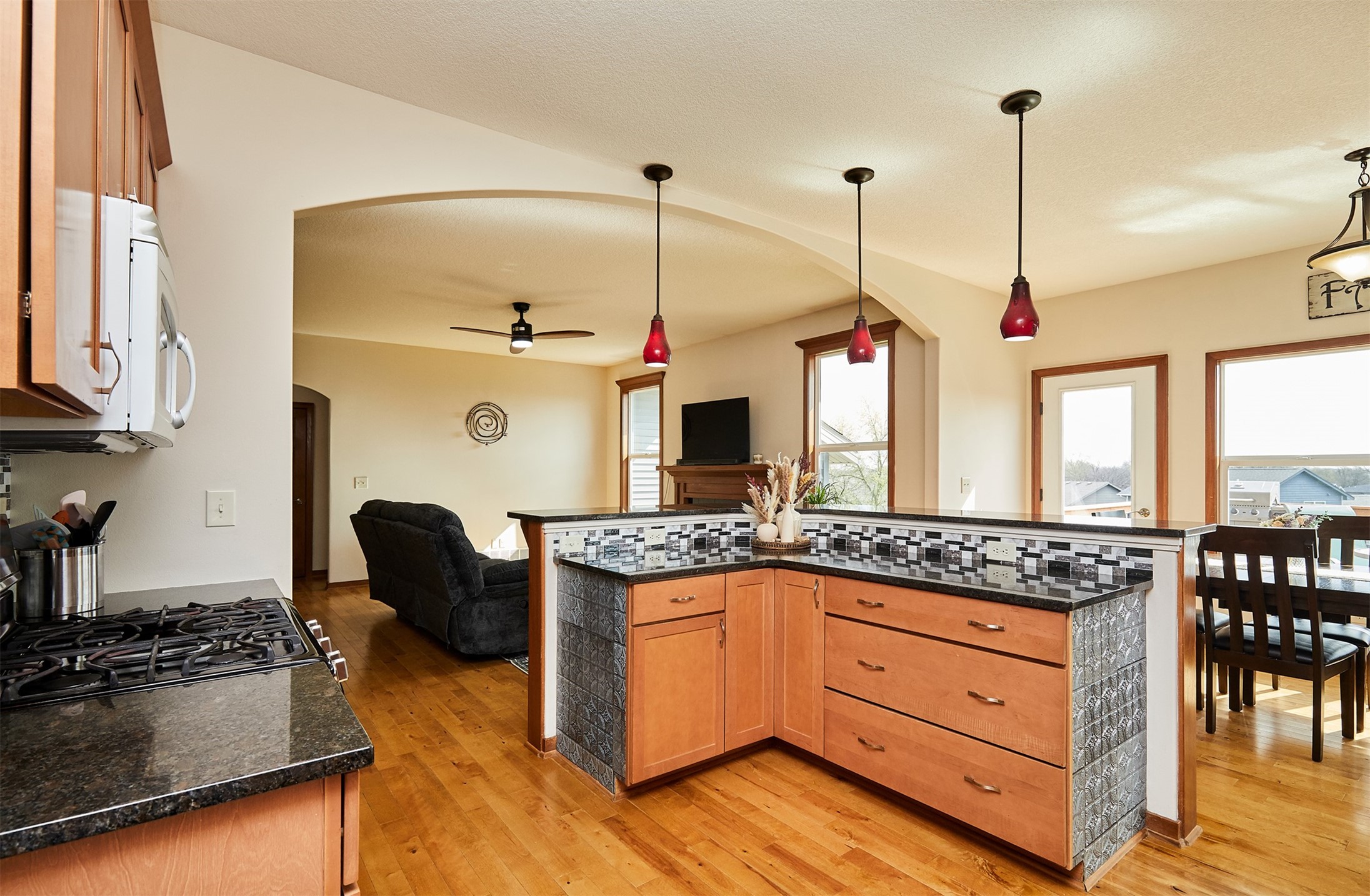 1319 Bailey Court, Adel, Iowa image 10