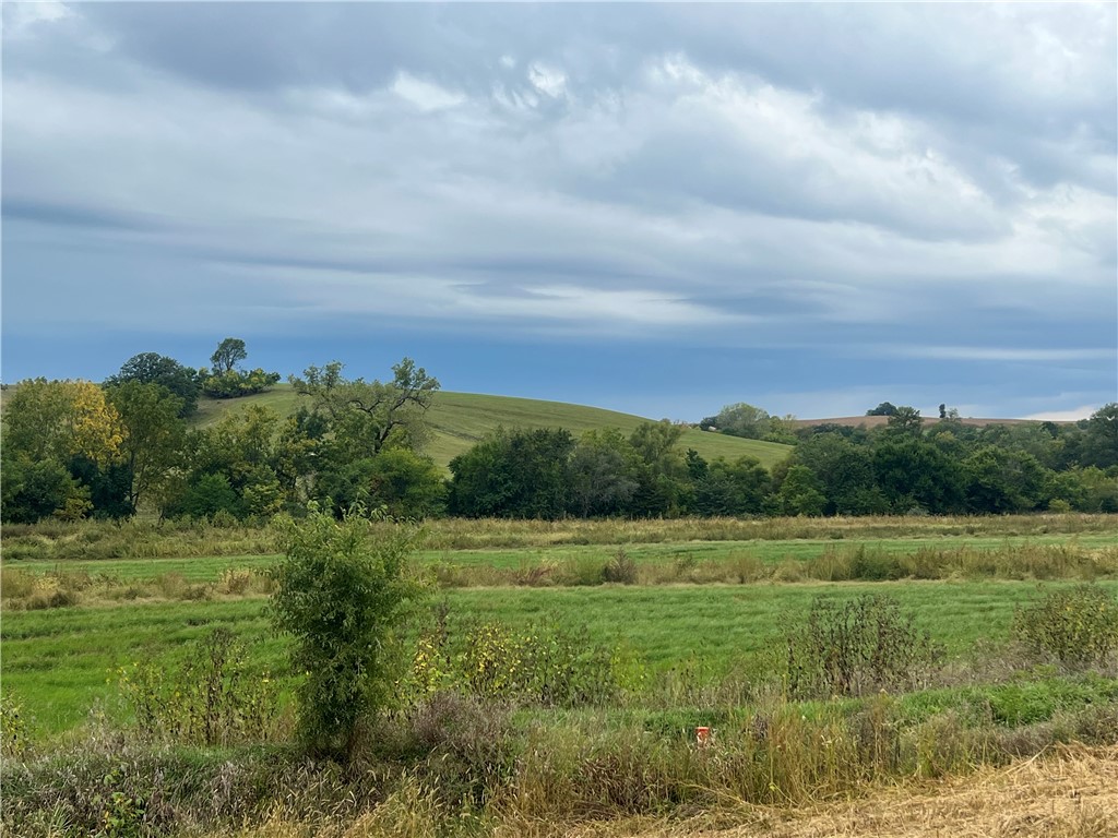 Lot 2 Polk Street, Milo, Iowa image 9