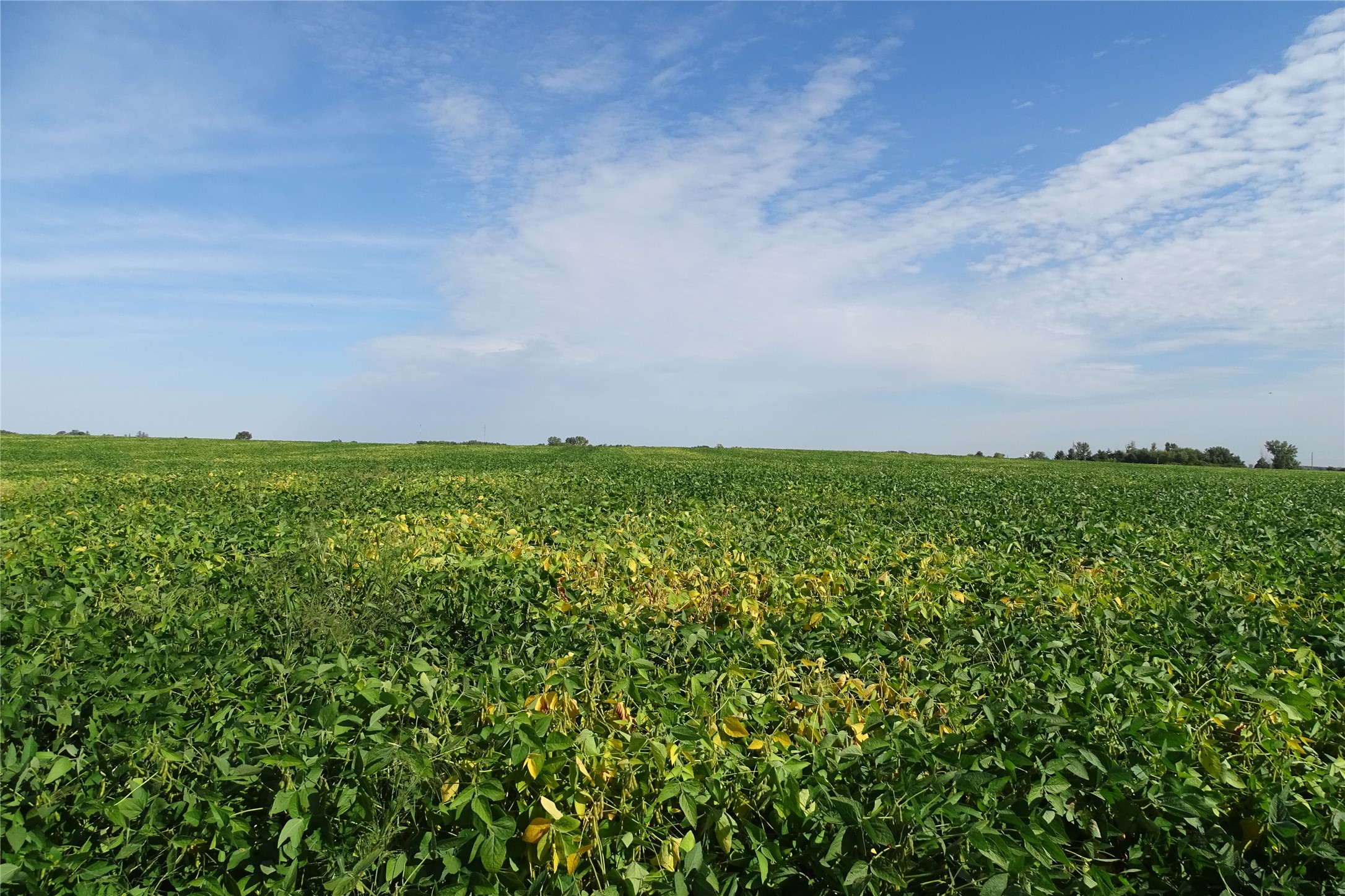 32141 Meadow Road, Adel, Iowa image 6