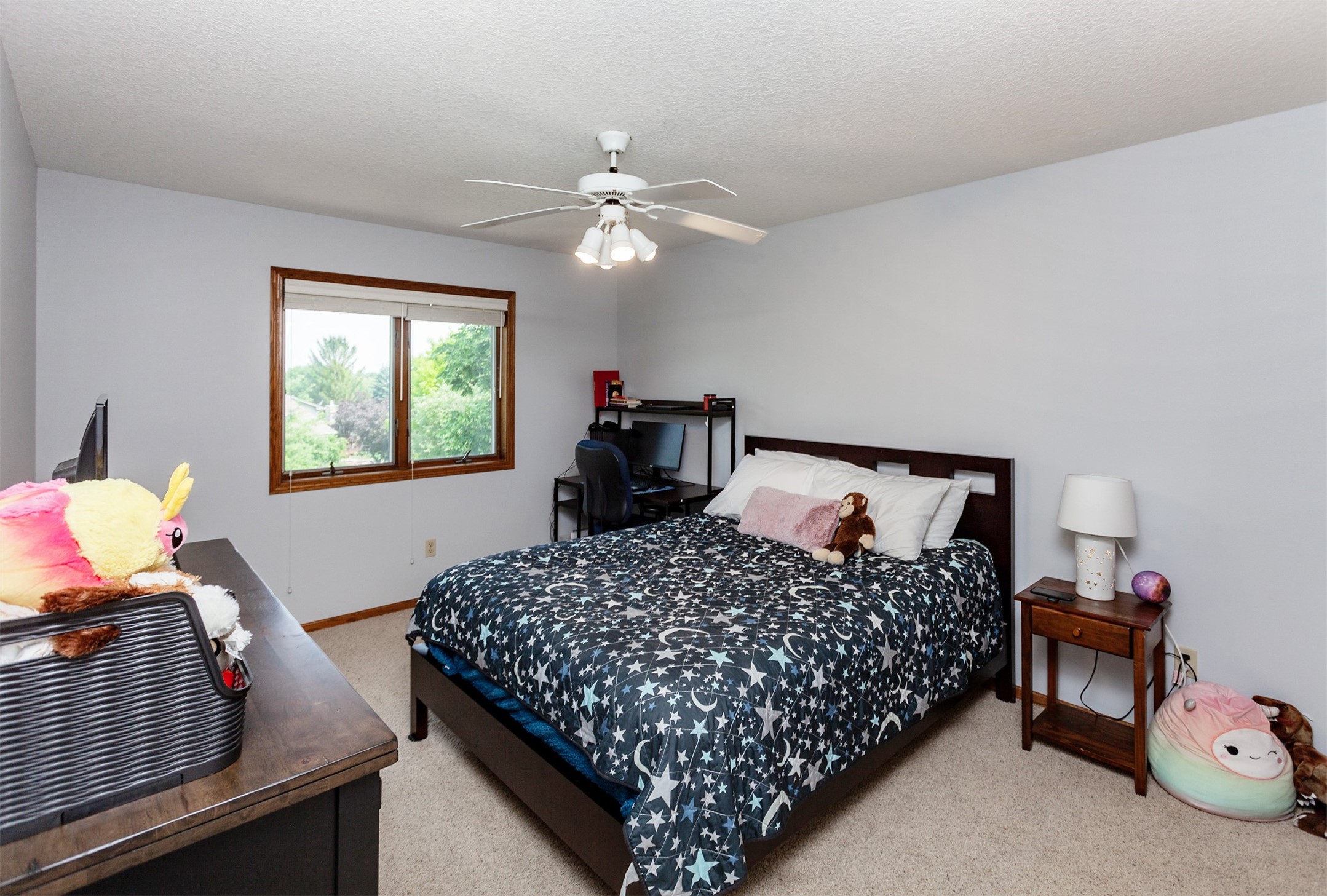 730 SE 9th Street, Ankeny, Iowa image 20