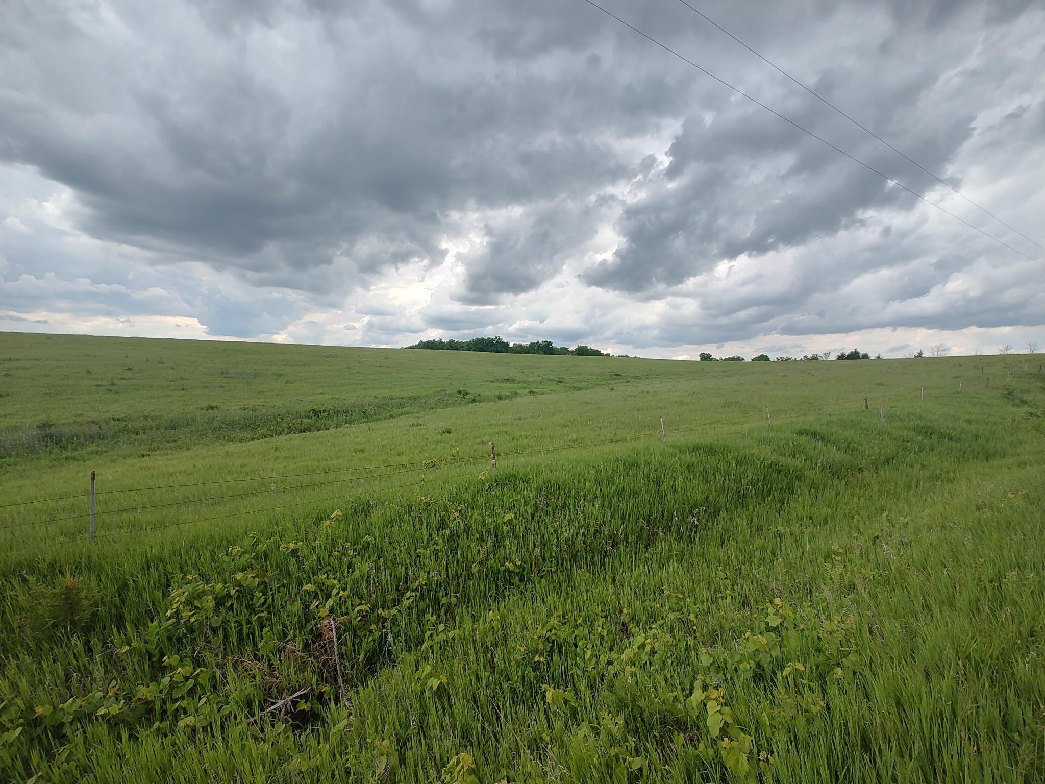 1401 195th Street, Osceola, Iowa image 12