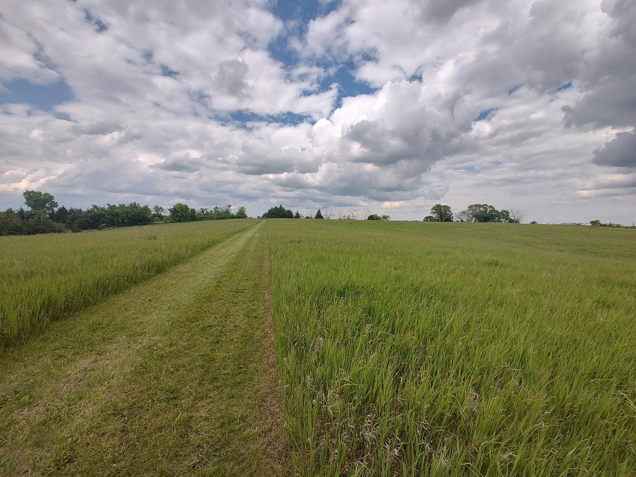 1401 195th Street, Osceola, Iowa image 7