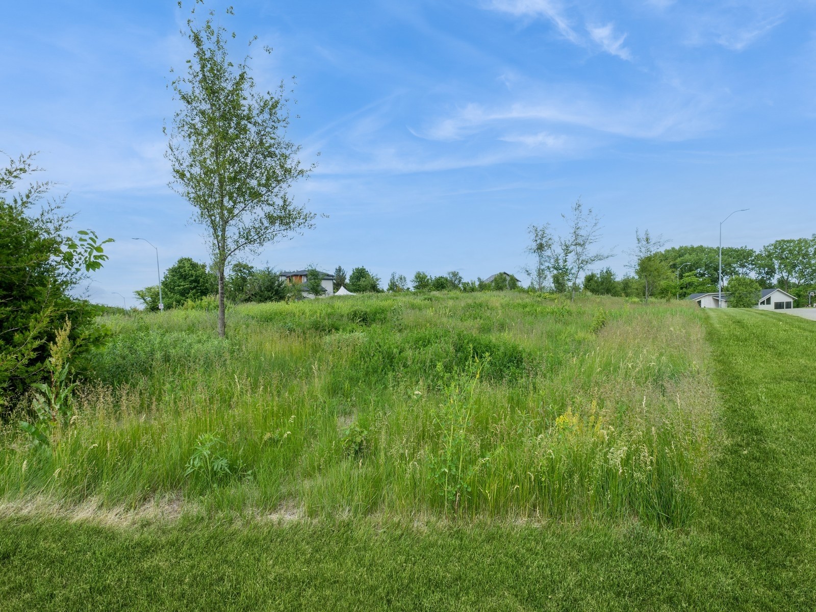 5535 SW Lake Ridge Drive, West Des Moines, Iowa image 5