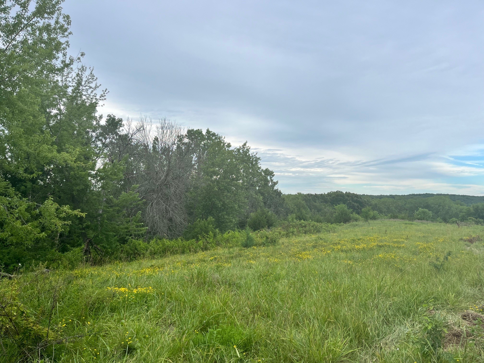 9267 Stone Street, New Virginia, Iowa image 4