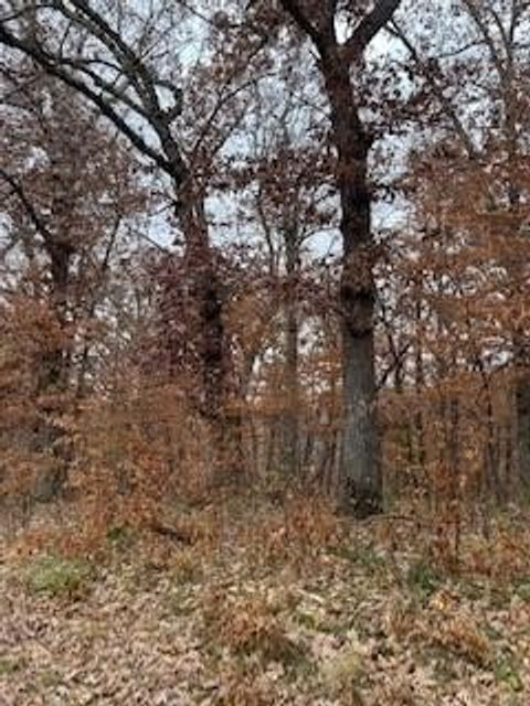 Vacant Land For Sale - 6505 Jansen Cove<br/> Guthrie County, Panora, IA 50216