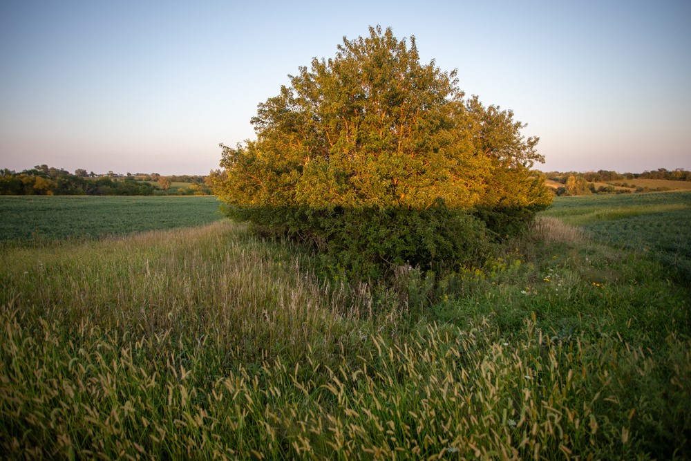 0000 S45 Road, Lacona, Iowa image 18