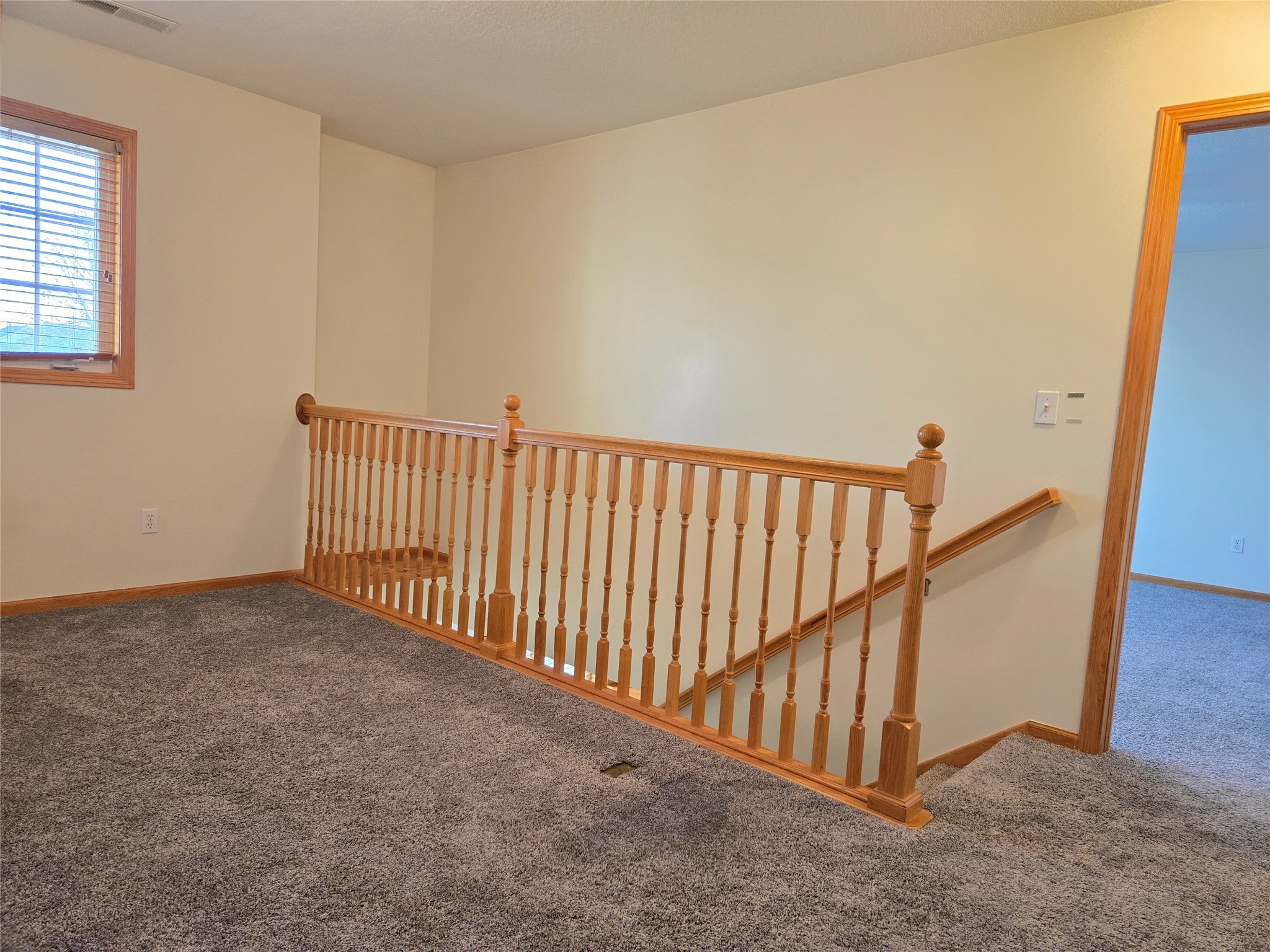 925 10th Street, Altoona, Iowa image 23
