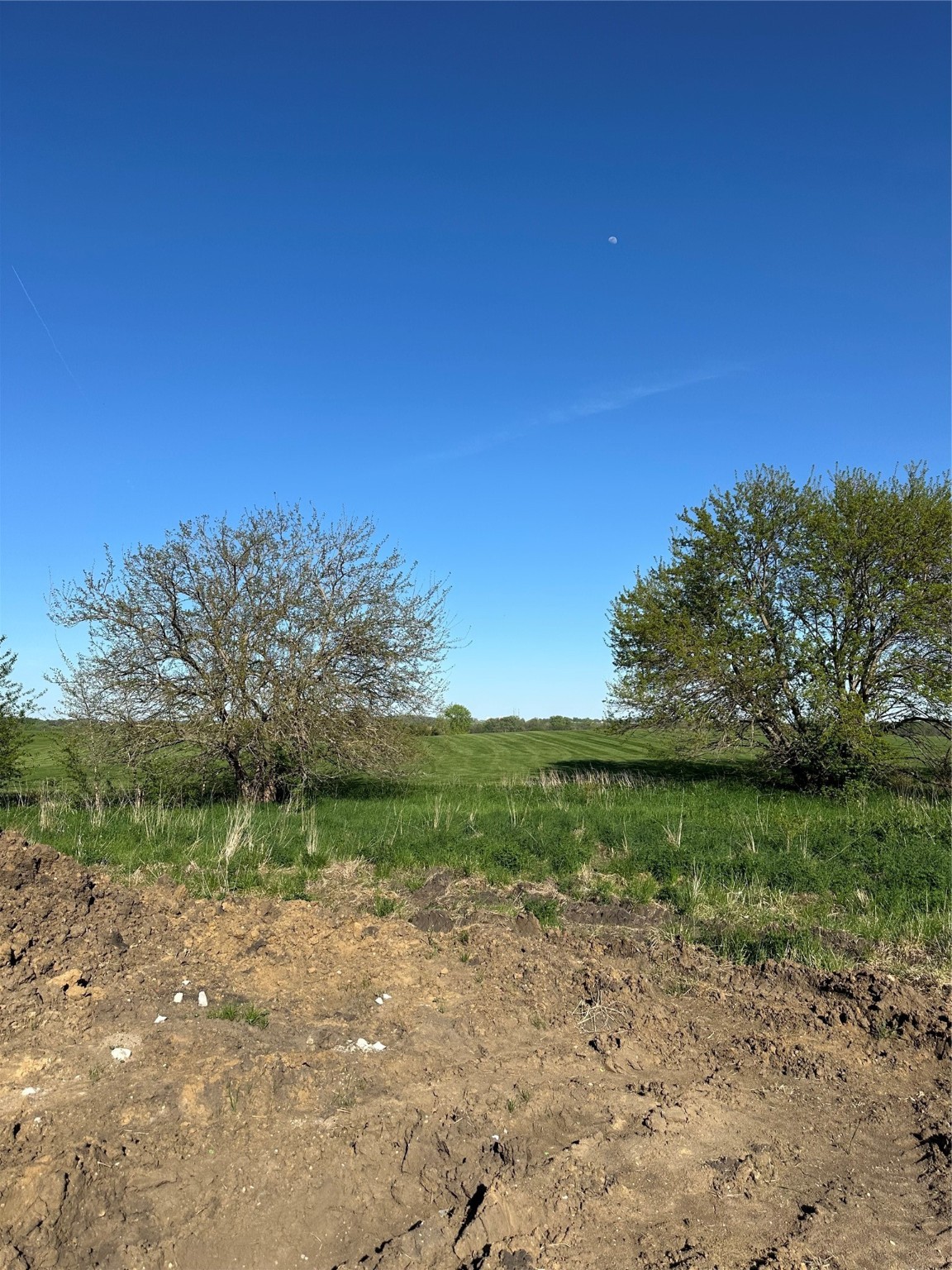8109 Buckley Street, Johnston, Iowa image 6