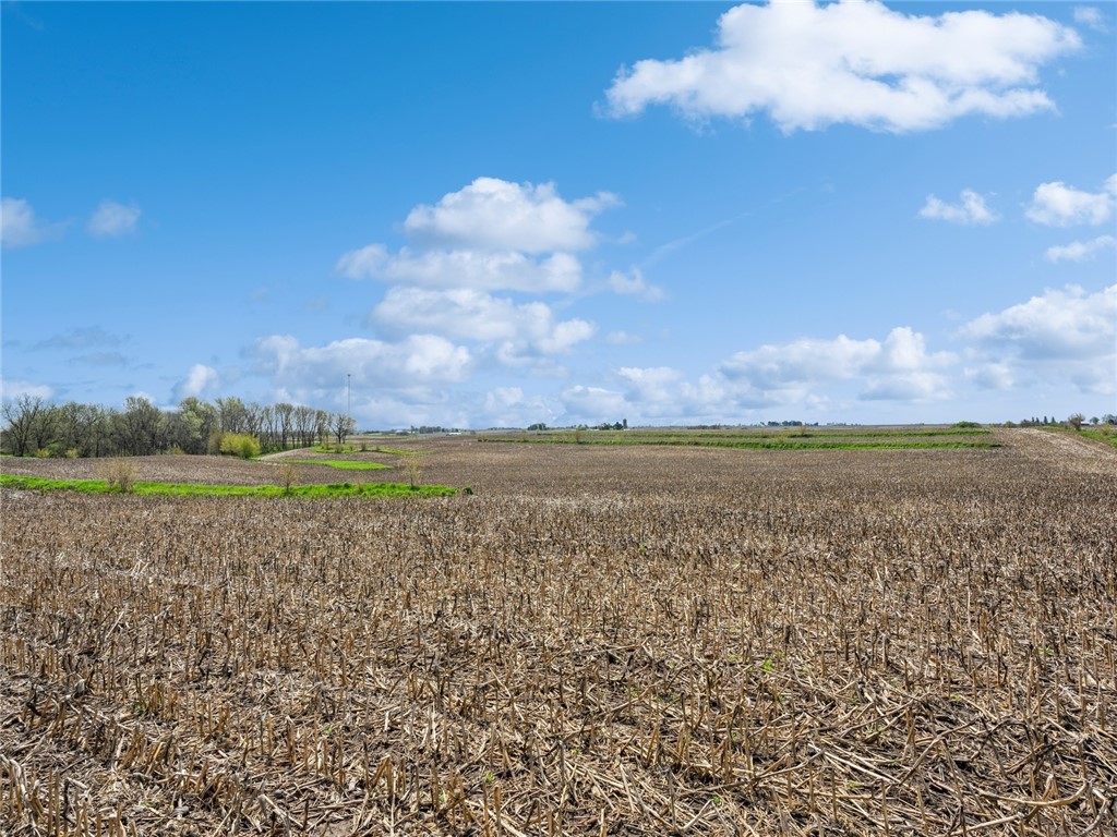 5135 Ella Ivy Court, Van Meter, Iowa image 3