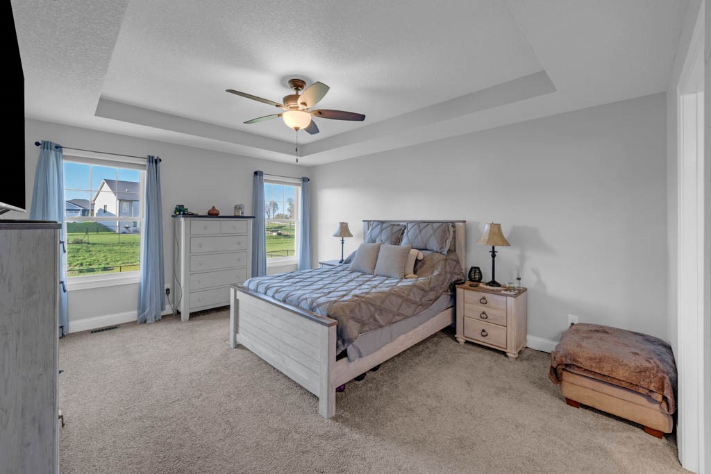 3602 SE 20th Street, Ankeny, Iowa image 14