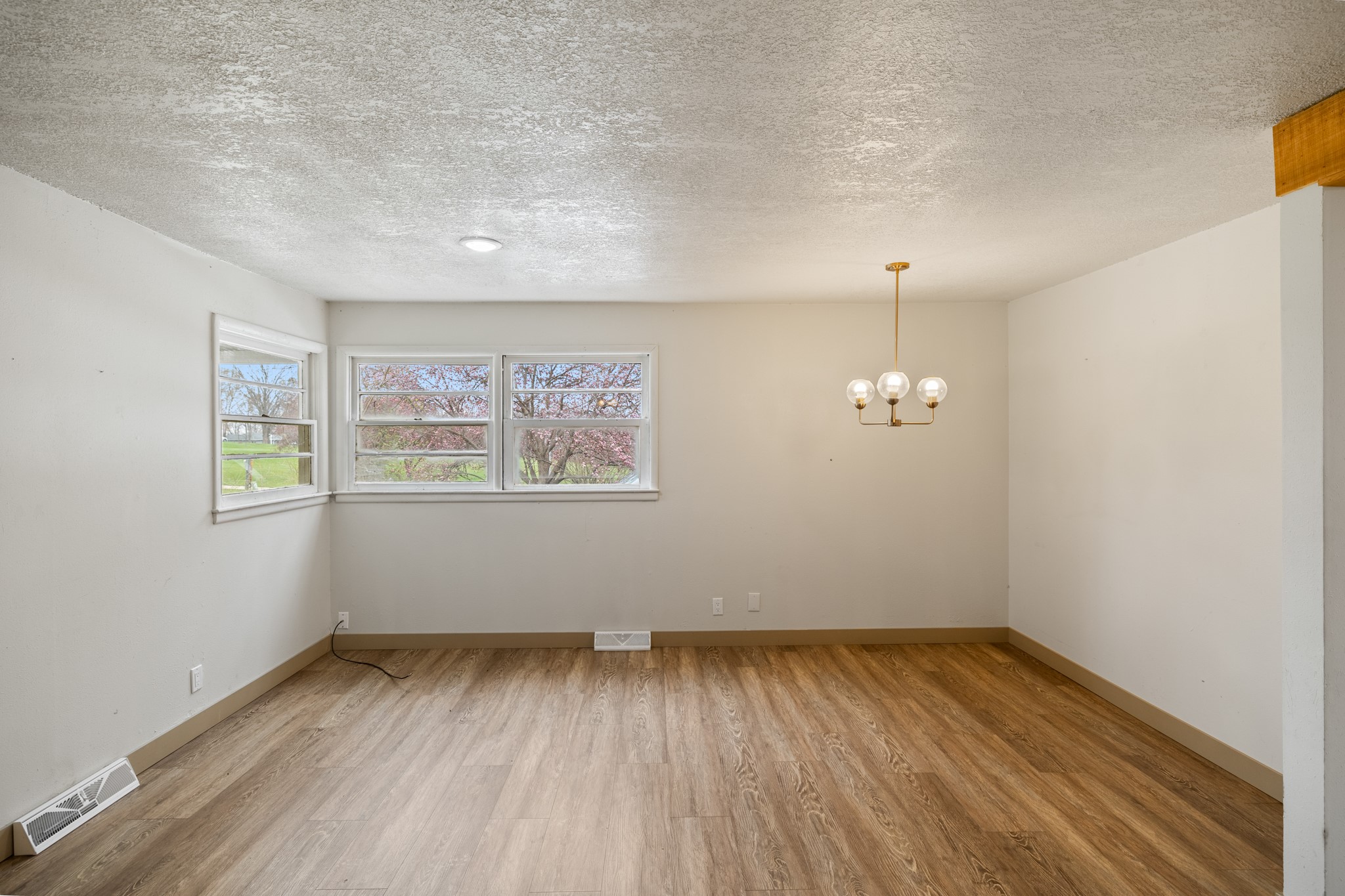 900 Circle Drive, Carlisle, Iowa image 4