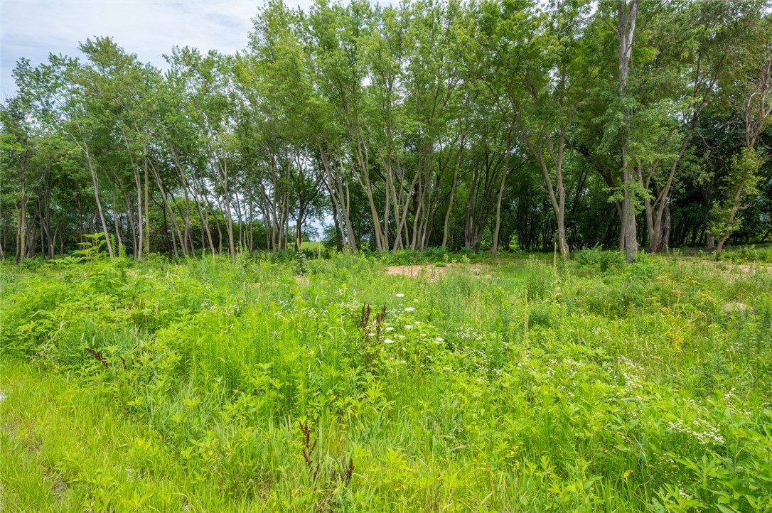 8380 Boston Trail, Norwalk, Iowa image 9