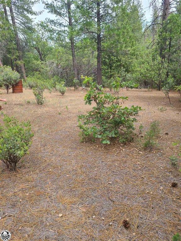 View Groveland, CA 95321 property