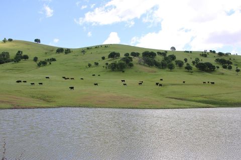 0 Highway 20 Williams CA 95987