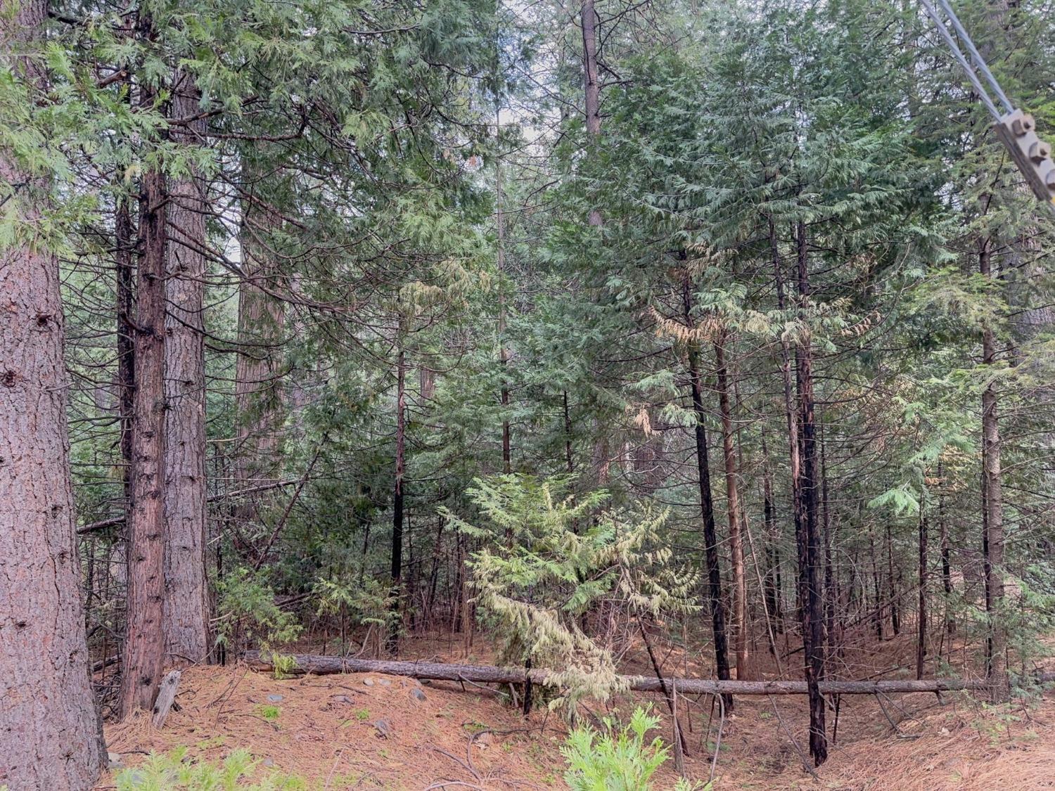 Pollock Pines, California 95726, United States, ,Land,Active,58369