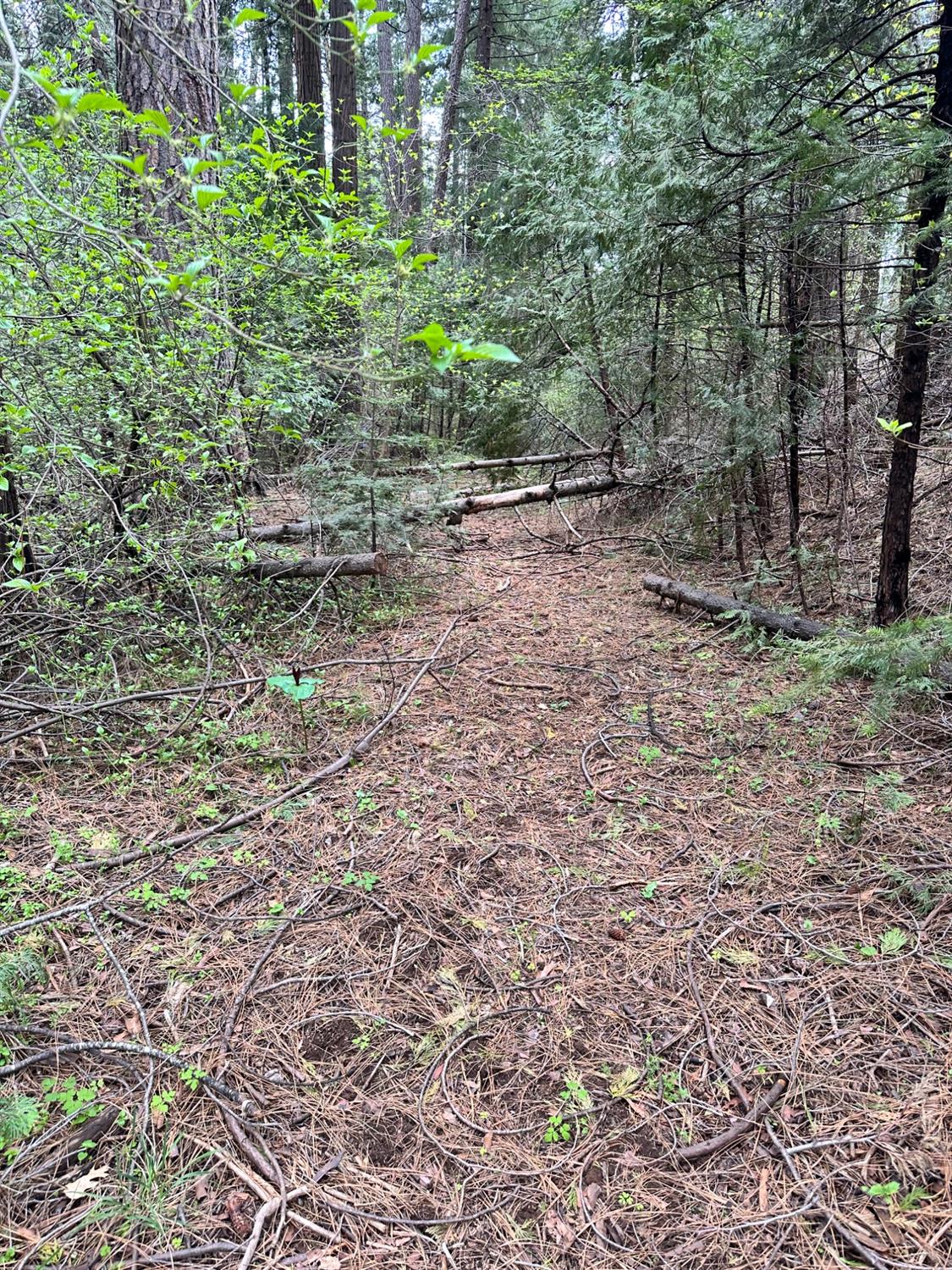 Pollock Pines, California 95726, United States, ,Land,Active,58369