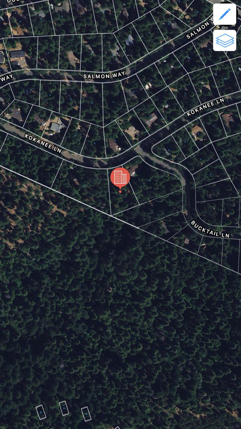 Pollock Pines, California 95726, United States, ,Land,Active,58369