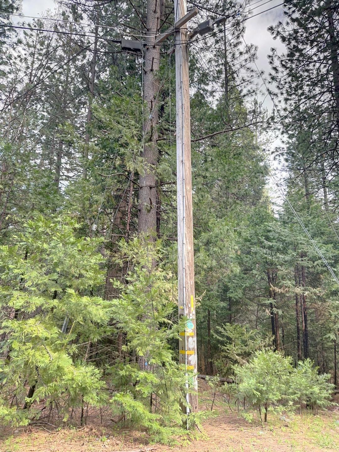 Pollock Pines, California 95726, United States, ,Land,Active,58369