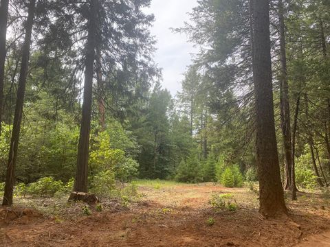 MLS: 223072674