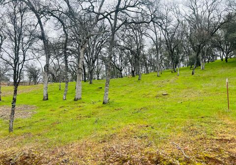 2021 Solitude Way Shingle Springs CA 95682