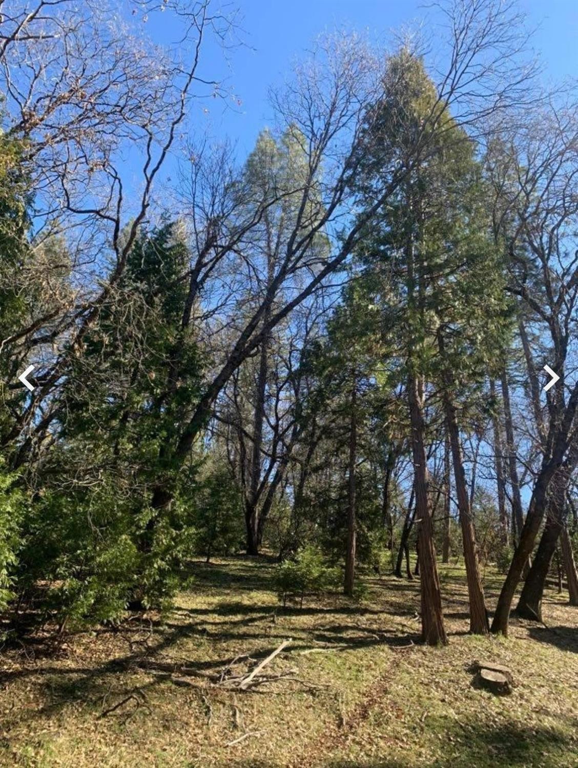 View Sonora, CA 95370 land