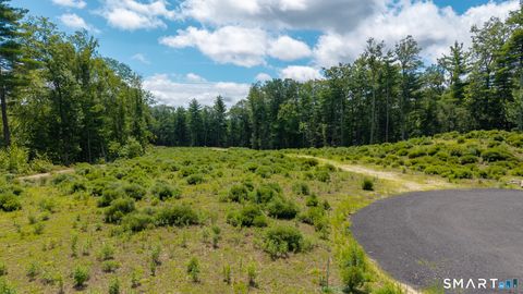 Tiny photo for 14 Peck Orchard Road, Granby, CT 06060 (MLS # 24156232)