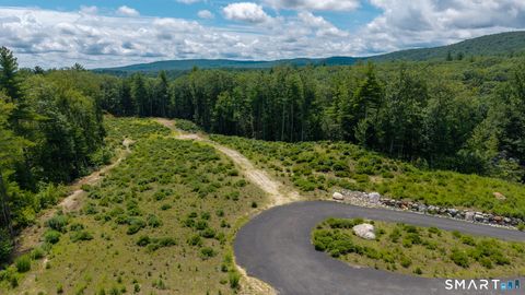 Tiny photo for 14 Peck Orchard Road, Granby, CT 06060 (MLS # 24156232)