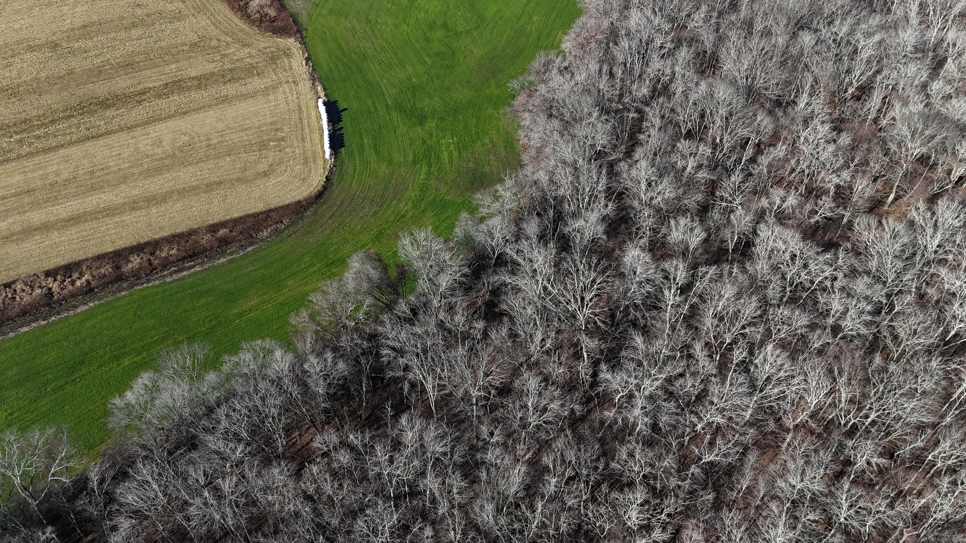 23A Tanglewood Drive, Preston, Connecticut image 11