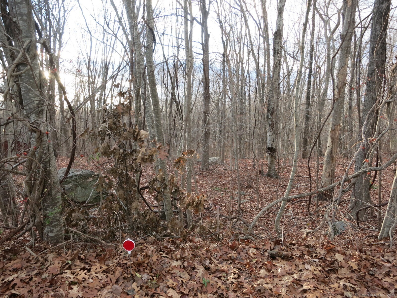 23A Tanglewood Drive, Preston, Connecticut image 5