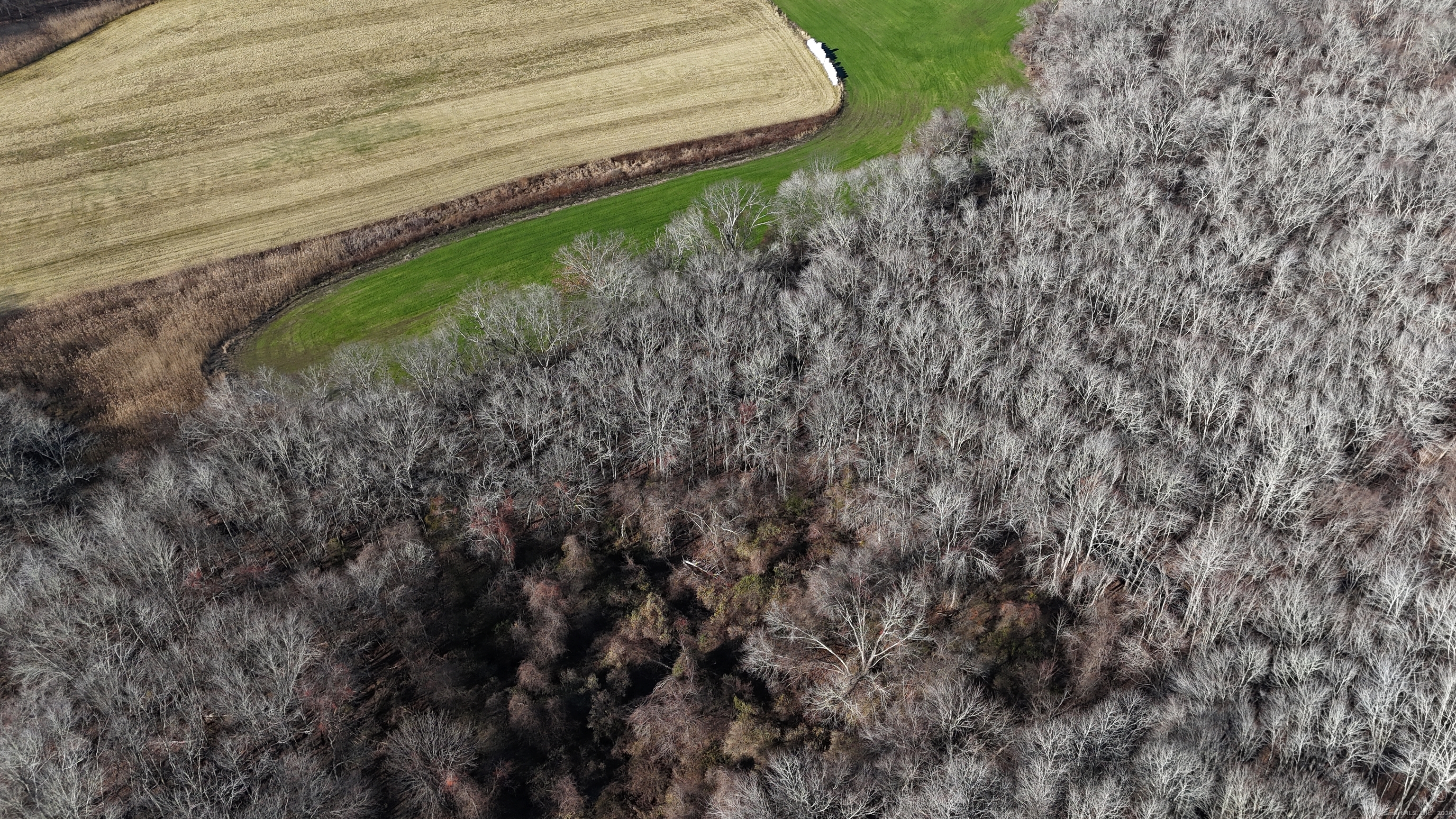23A Tanglewood Drive, Preston, Connecticut image 8