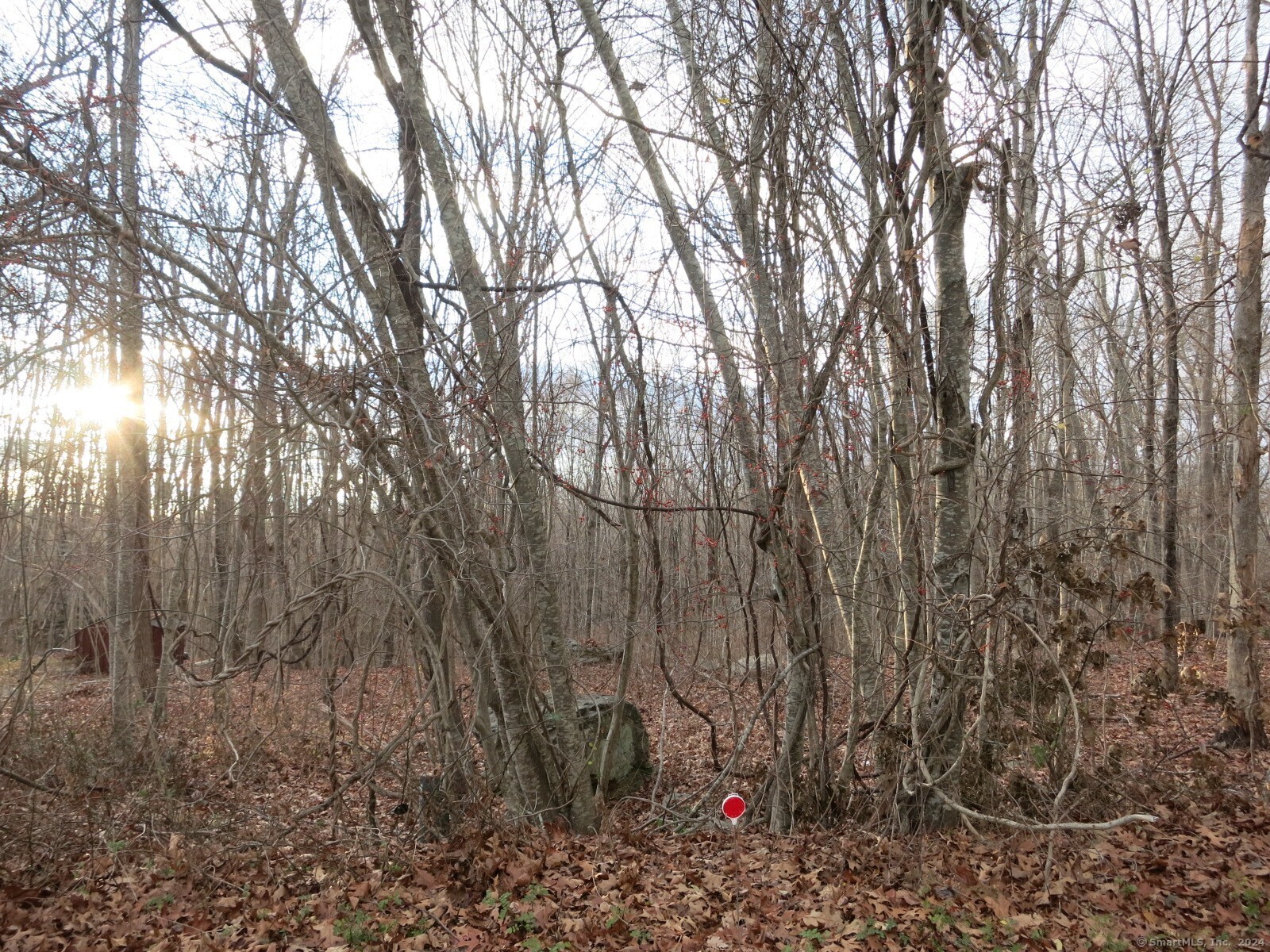 23A Tanglewood Drive, Preston, Connecticut image 6