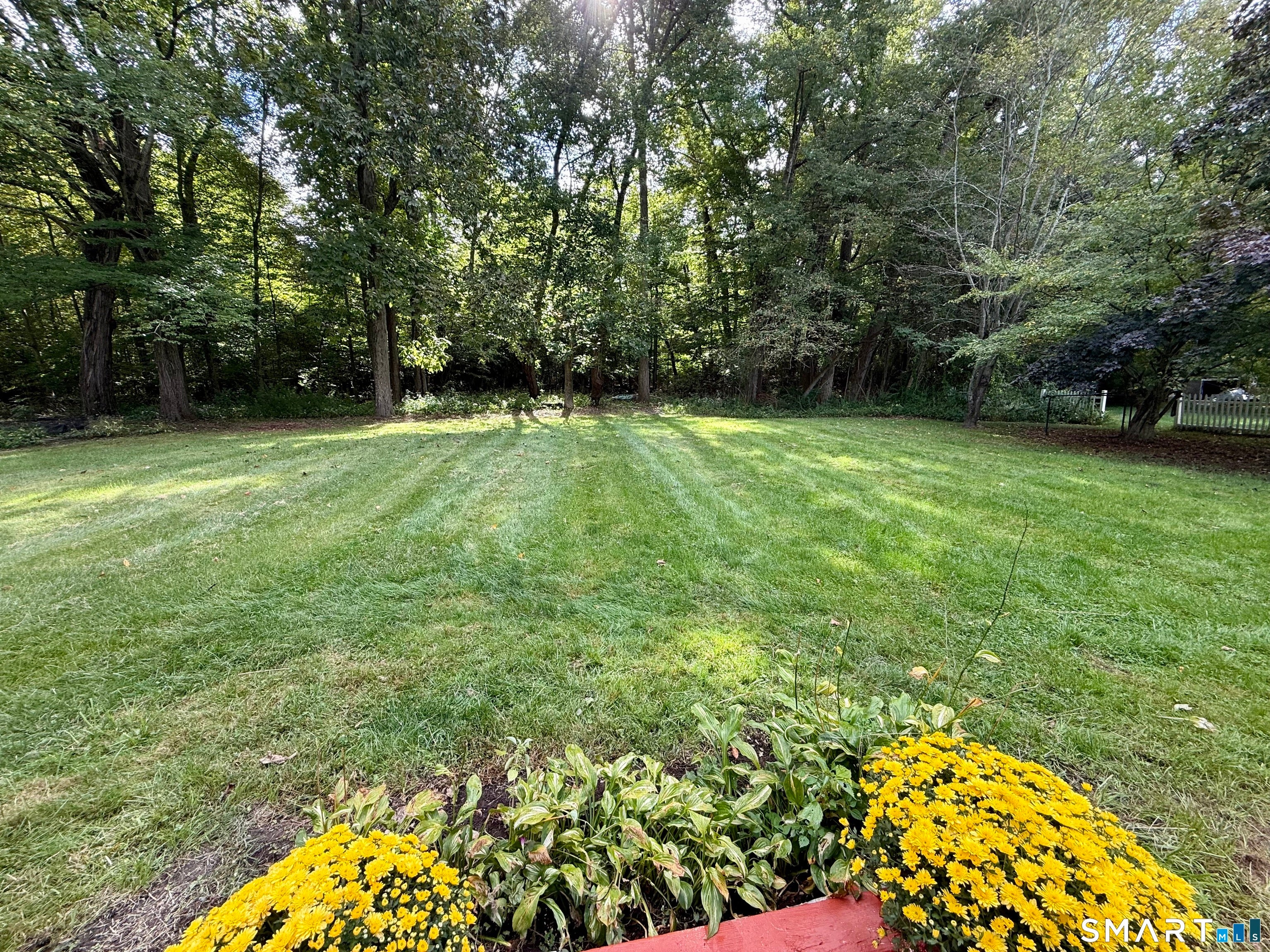 26 Francis Drive