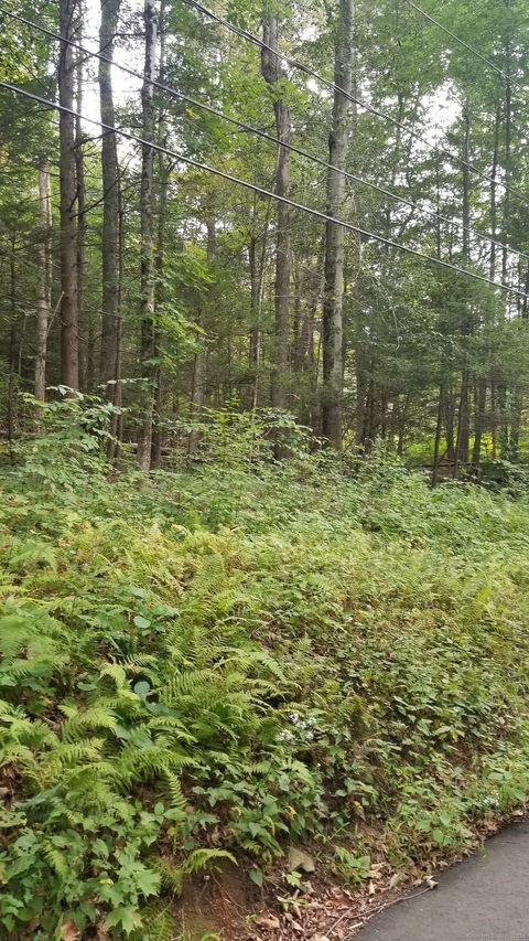 Tiny photo for 00 Stockburger Road, East Haddam, CT 06423 (MLS # 24170171)