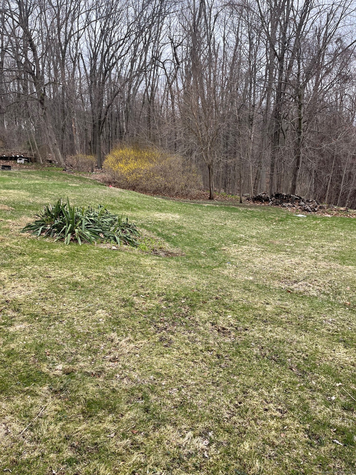 266 Funston Avenue, Torrington, Connecticut image 4
