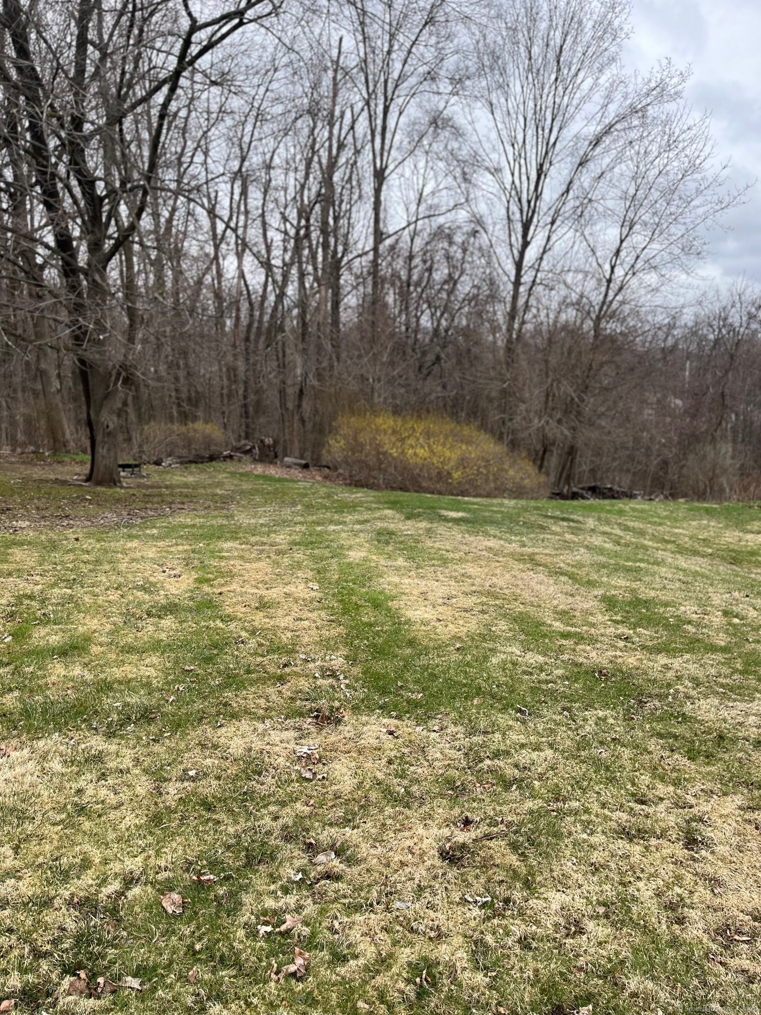 266 Funston Avenue, Torrington, Connecticut image 3