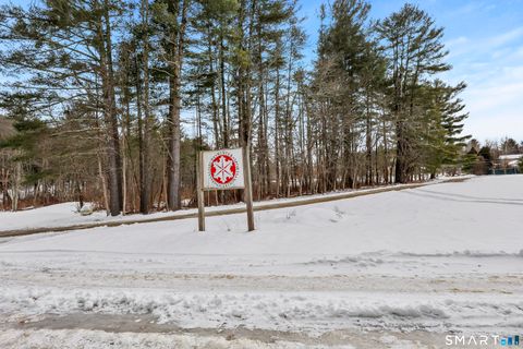 Tiny photo for 25 Fowler Street, Salisbury, CT 06068 (MLS # 24147909)