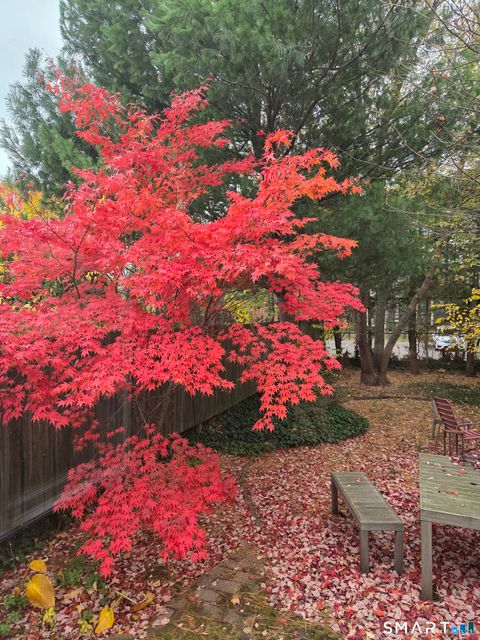 Tiny photo for 258 Saint John Street, New Haven, CT 06511 (MLS # 24161496)