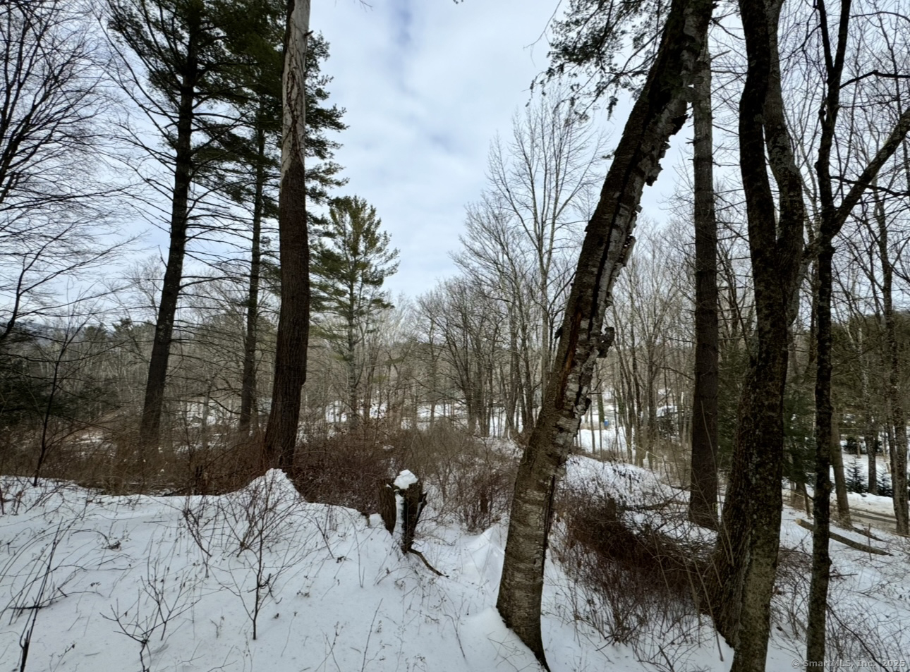 5 Prospect Mountain Road