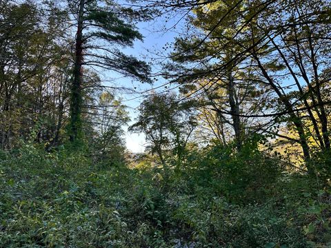 Vacant Land For Sale - 5 Prospect Mountain Road<br/> Salisbury, CT 06068
