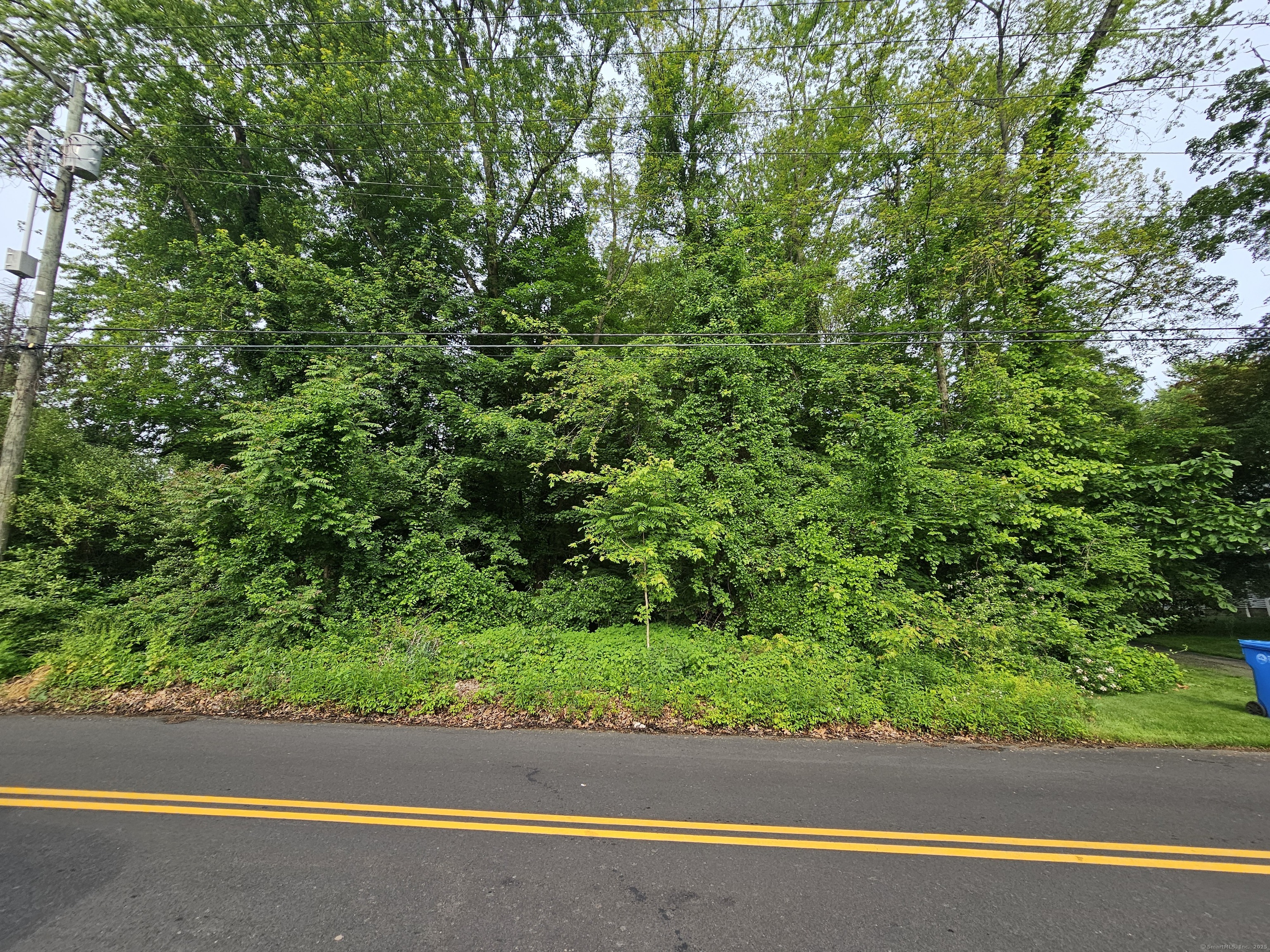 516 Gilbert ( Rear) Avenue, Hamden, Connecticut image 3