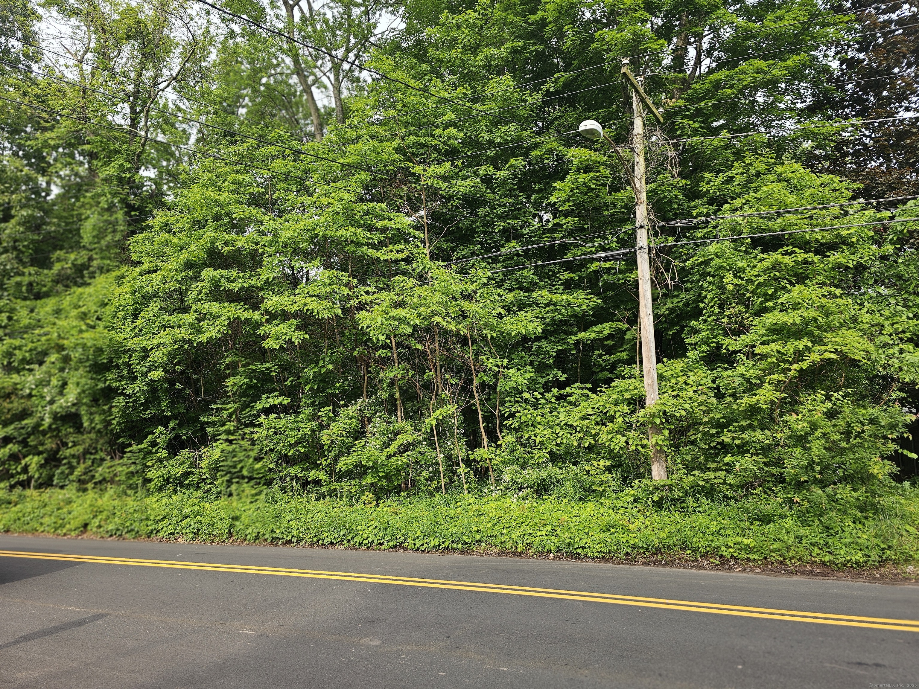 516 Gilbert ( Rear) Avenue, Hamden, Connecticut image 2