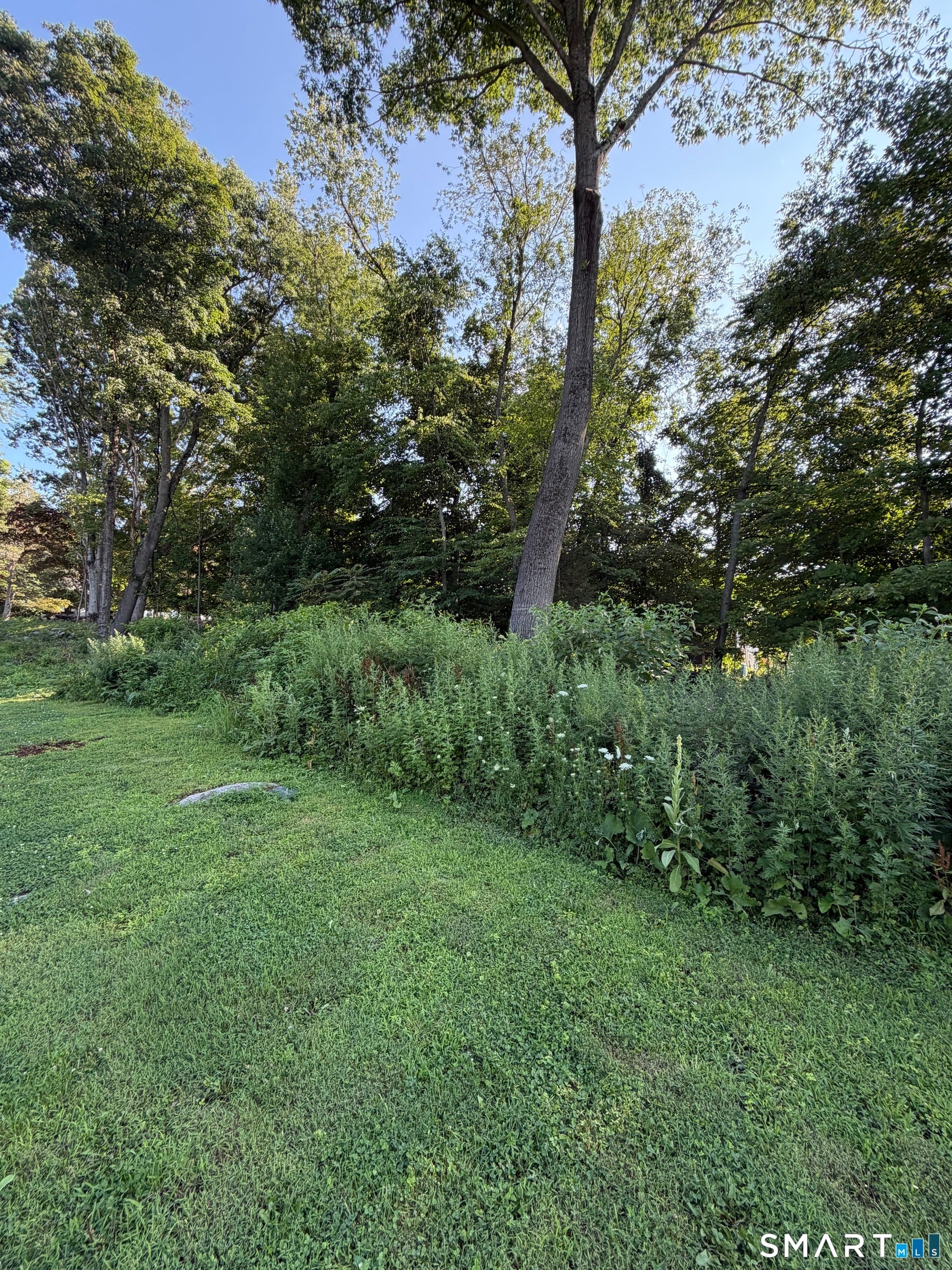 58 Taagan Point Road
