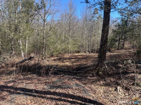 Vacant Land For Sale - 302 Gillette Road<br/> Litchfield County, New Hartford, CT 06057