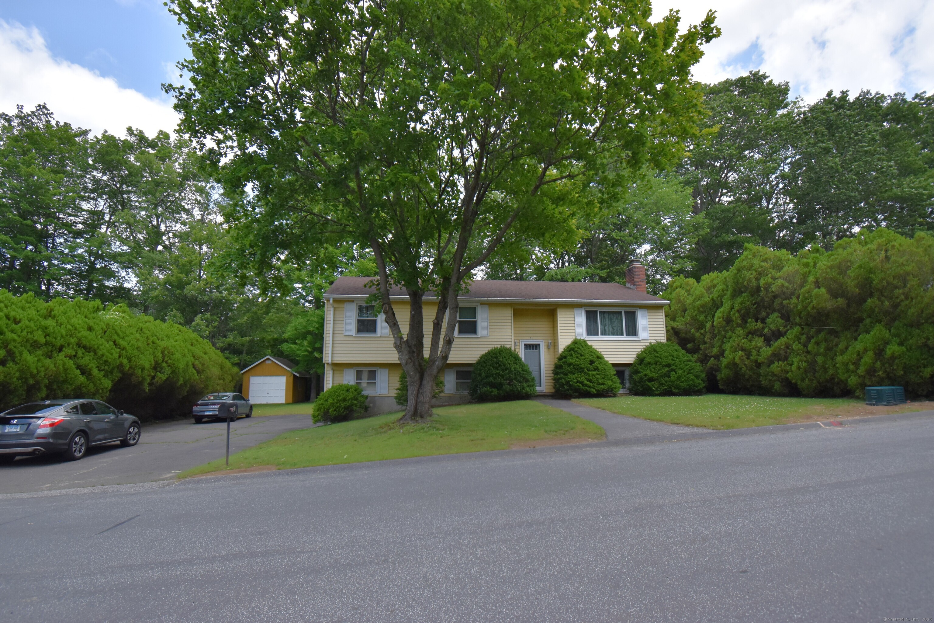 81 Birchwood Drive