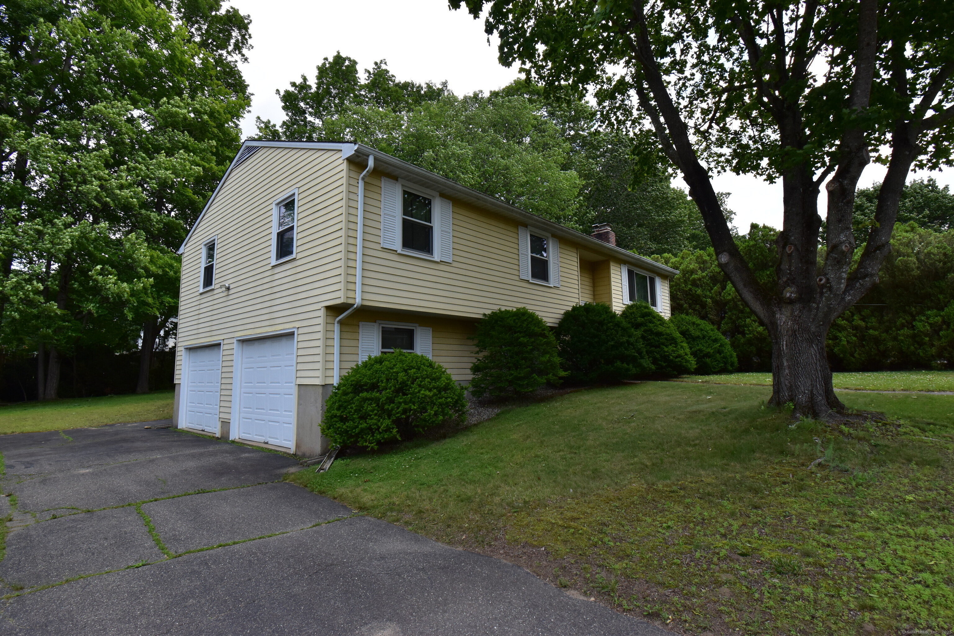 81 Birchwood Drive