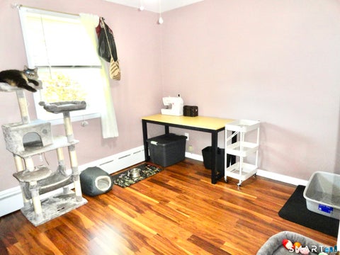 Tiny photo for 127 Lexington Avenue, Torrington, CT 06790 (MLS # 24217062)