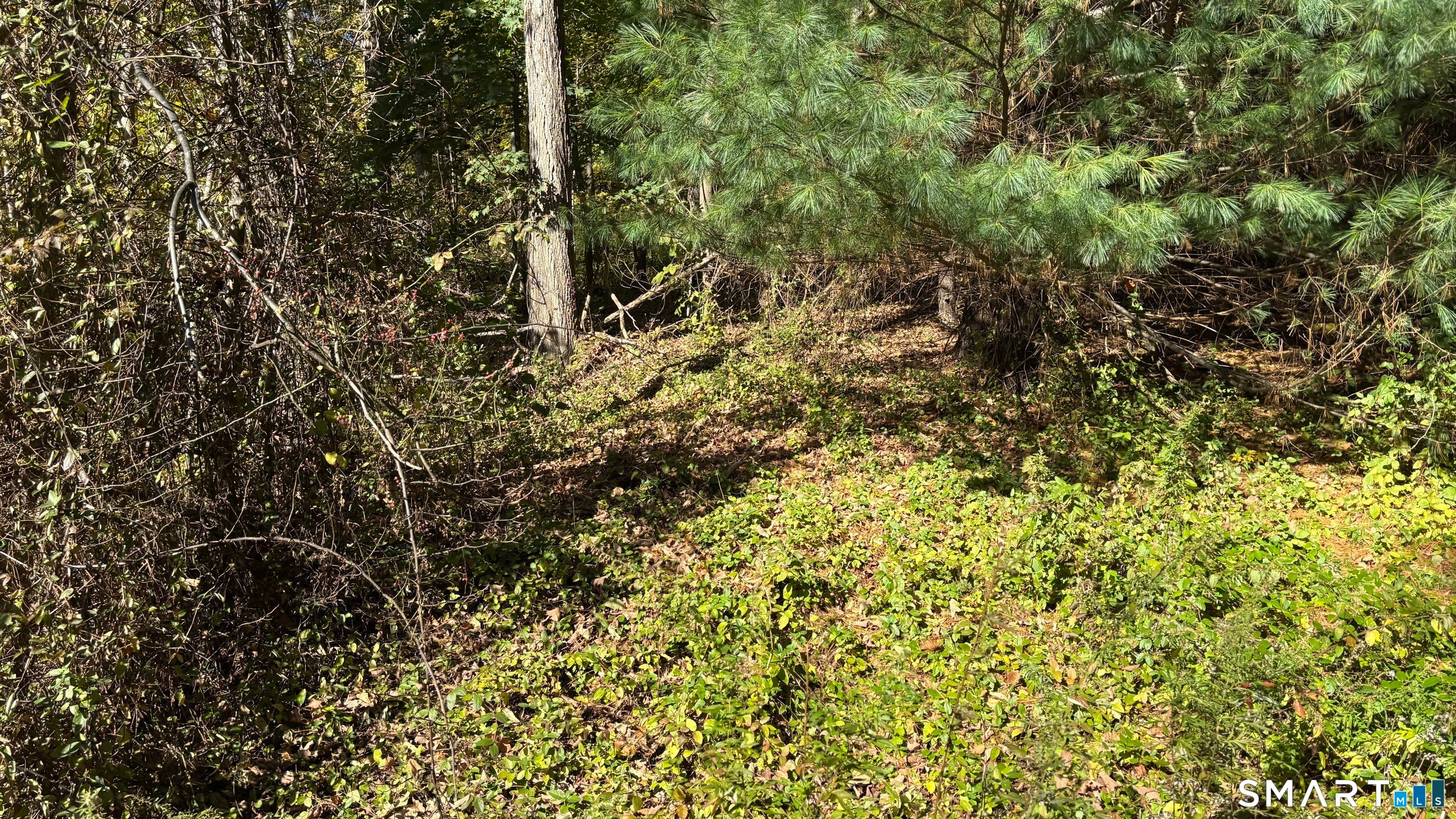 379 Brushy Plain Road