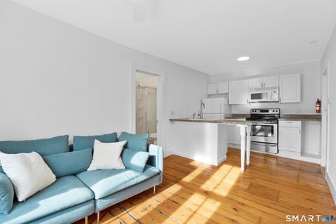 Tiny photo for 19 Pearl Street #1, Stonington, CT 06355 (MLS # 24200822)